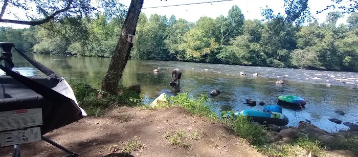 The River Life Picture 4