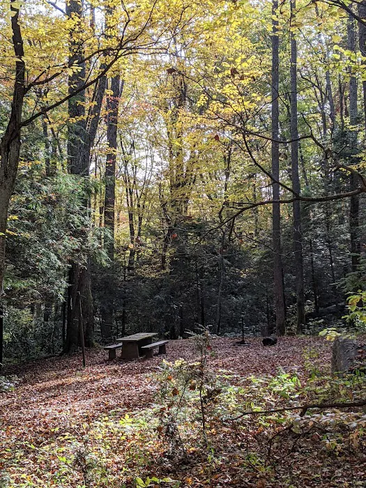 Round Mountain Campground Picture 5