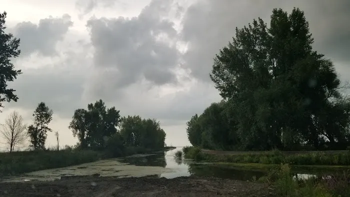 Finn Road Park Picture 8