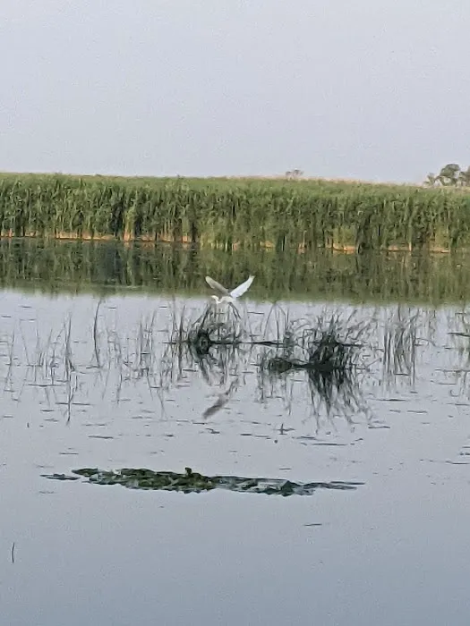 Finn Road Park Picture 2