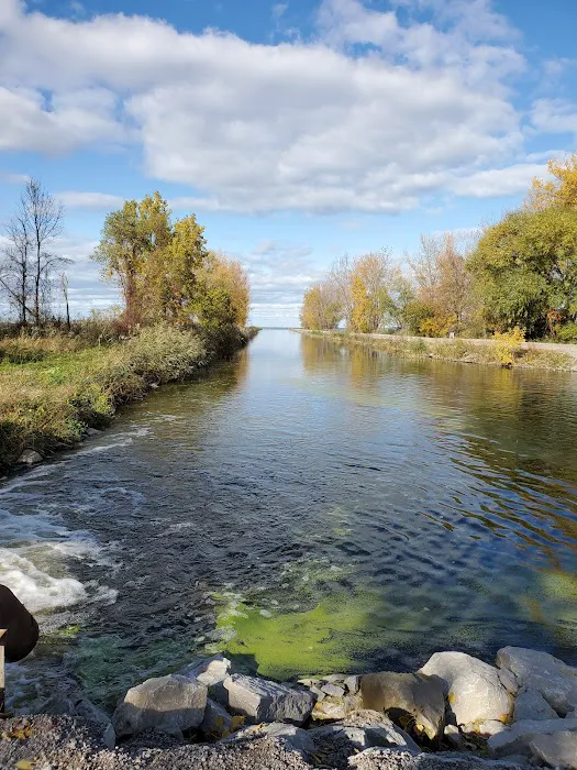 Finn Road Park Picture 5
