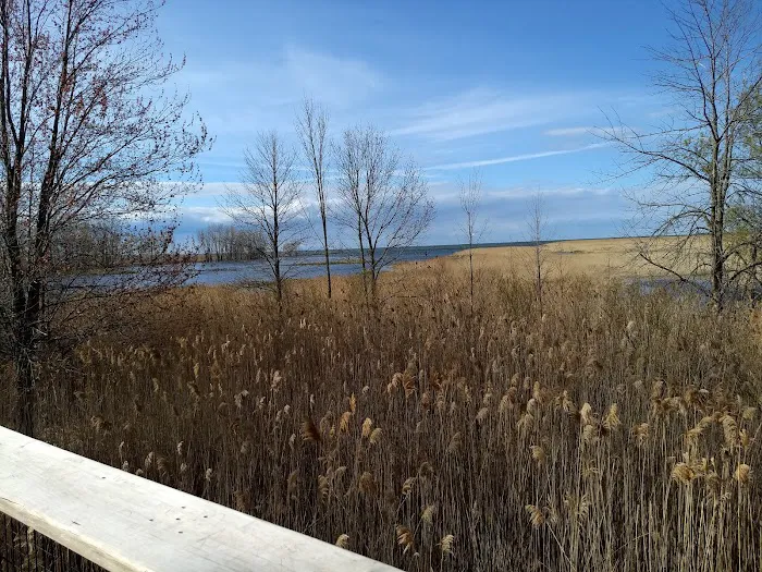 Finn Road Park Picture 9