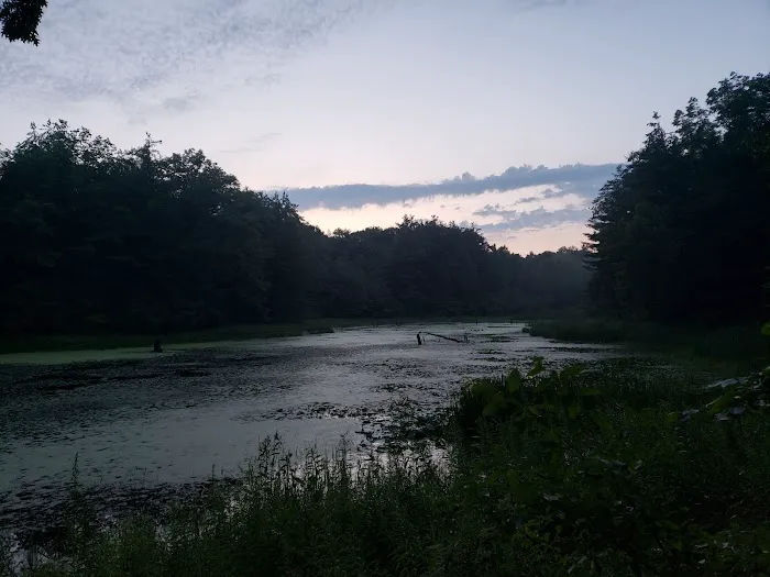 Black Creek State Forest Campground Picture 6