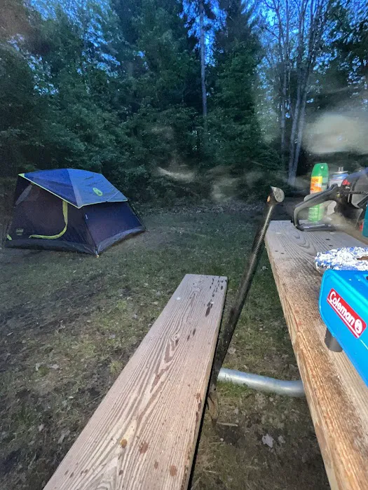 Black Creek State Forest Campground Picture 5