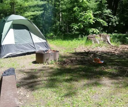 Black Creek State Forest Campground