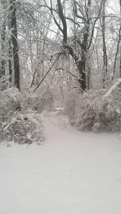 P.L. Graham Park / Campground Picture 7