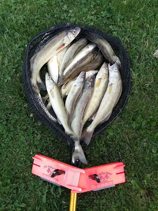 Sebewaing River Campground Picture 5