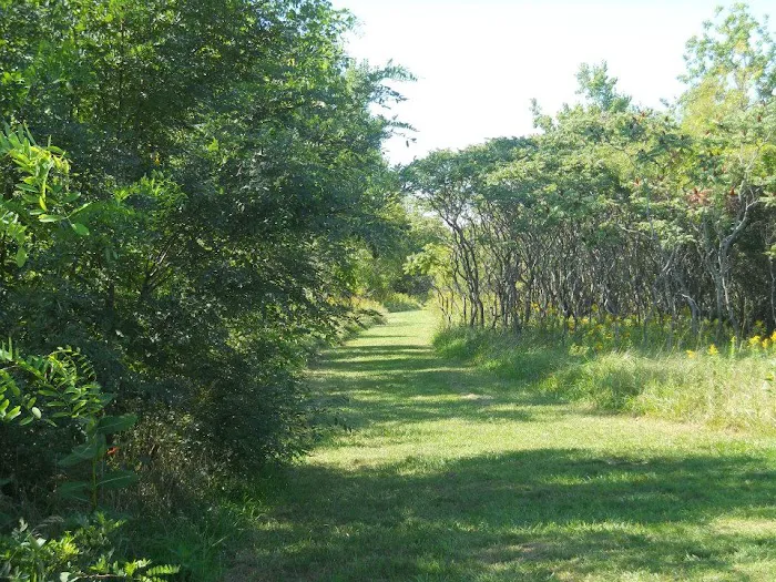 Sebewaing County Park Picture 2