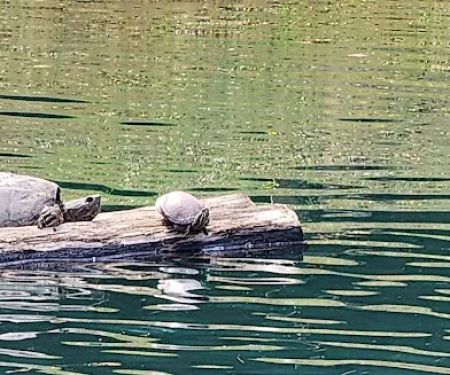 Windover Womens Resort