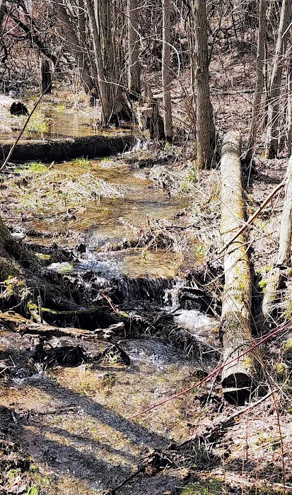 Windover Womens Resort Picture 3