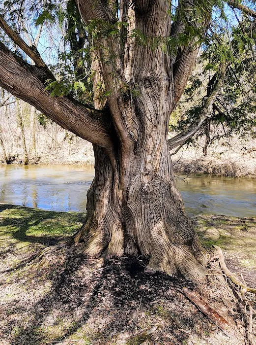 Windover Womens Resort Picture 5