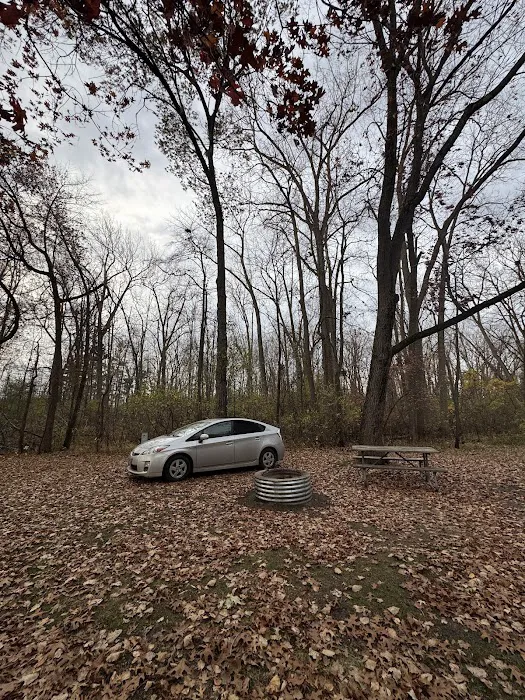 Bay City State Park Campground Picture 3