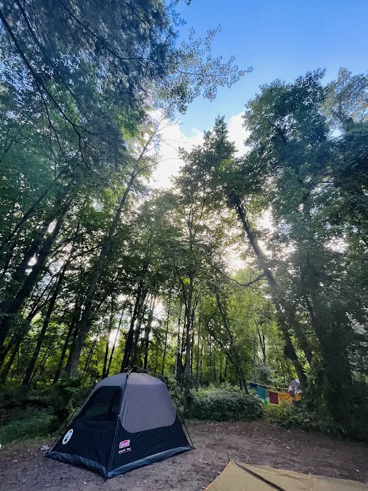 Bay City State Park Campground Picture 5