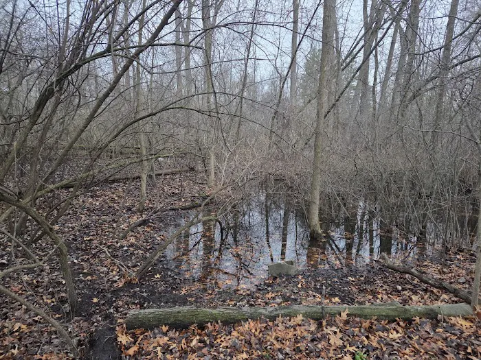 Bay City State Park Campground Picture 8