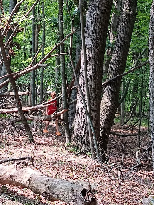 Bay City State Park Campground Picture 10