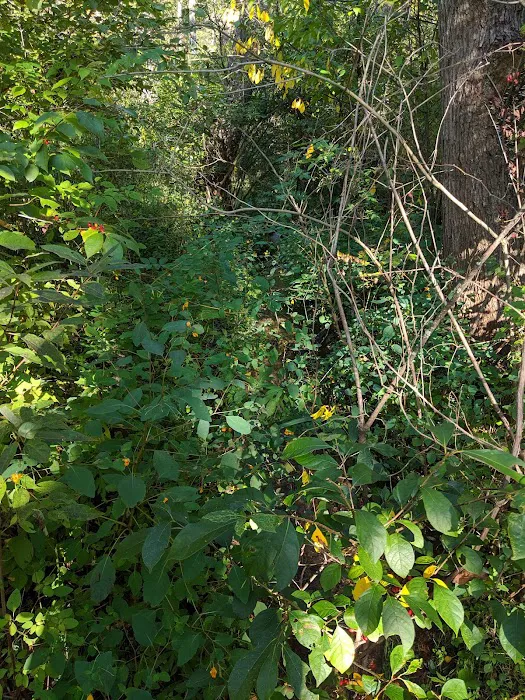 Redbud Trail Retreat Picture 9