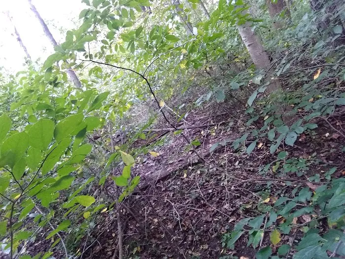 Redbud Trail Retreat Picture 7