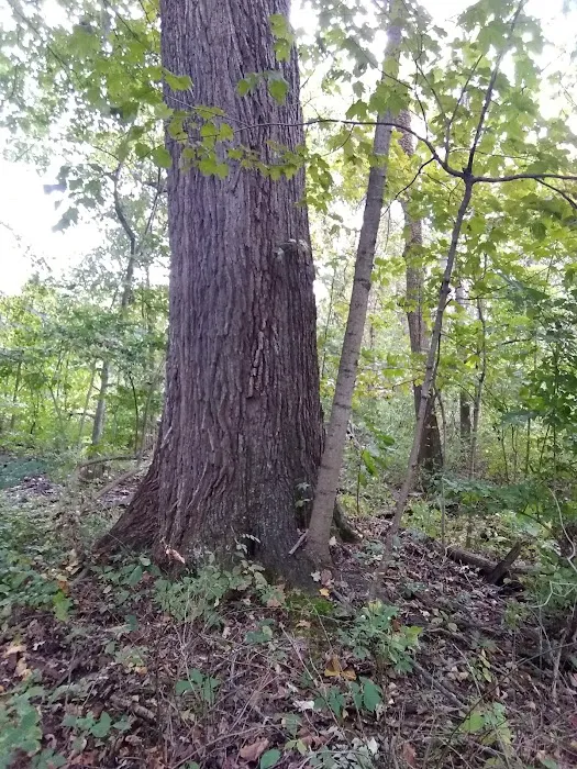 Redbud Trail Retreat Picture 4