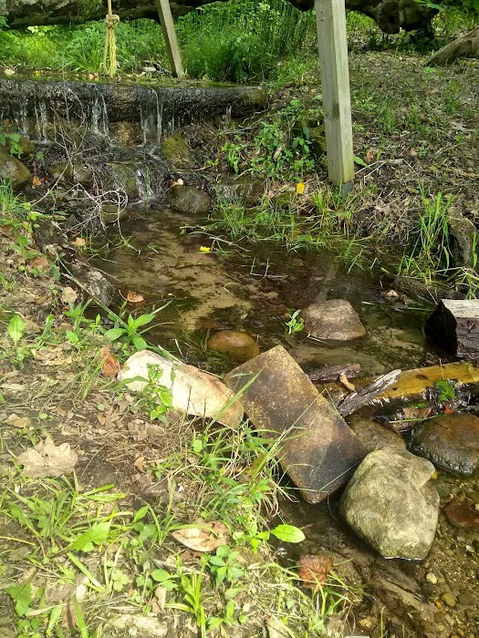 Redbud Trail Retreat Picture 2