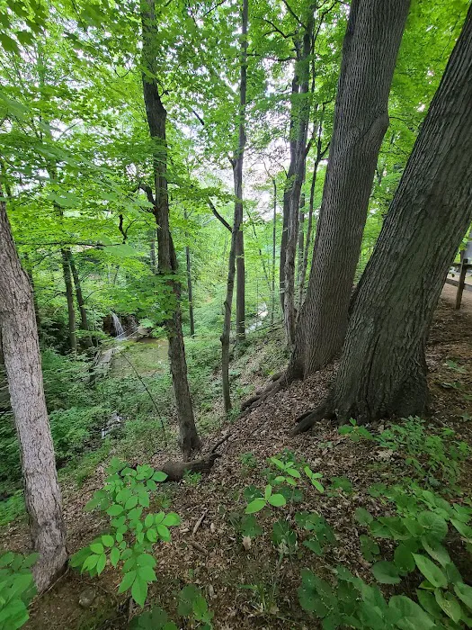 Thousand Trails Bear Cave Picture 10