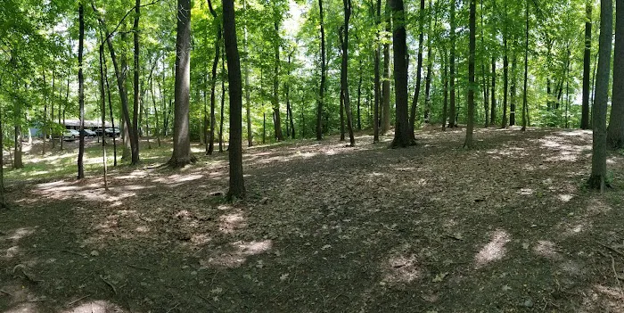 Life Action Camp Picture 8