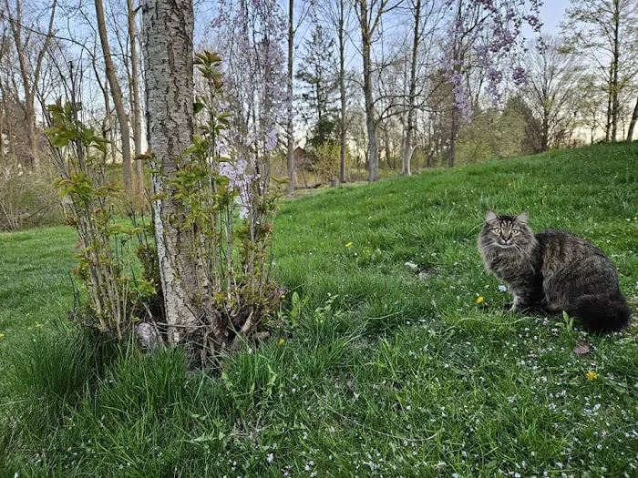 A Waggin' Good Time At Mellow Acres Picture 3