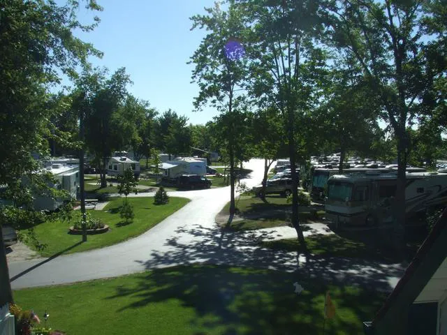 Camp S'more South Haven Picture 9