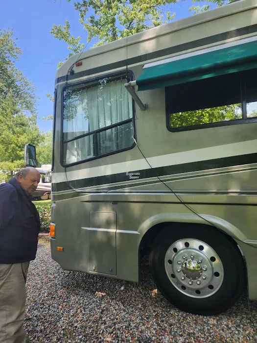 Camp S'more South Haven Picture 7