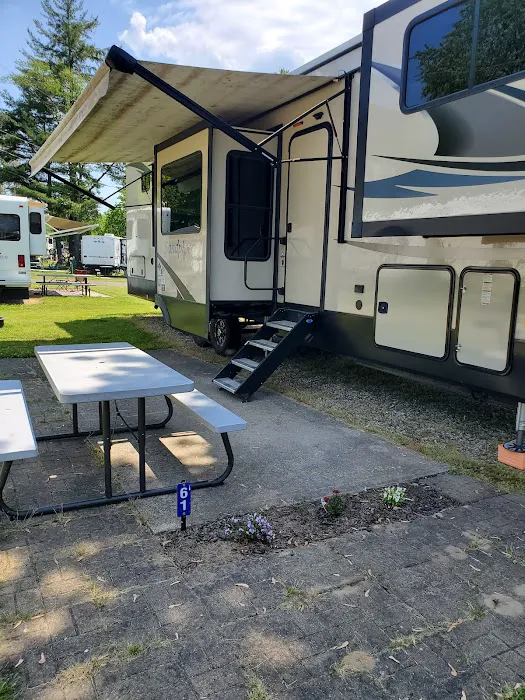 Camp S'more South Haven Picture 3