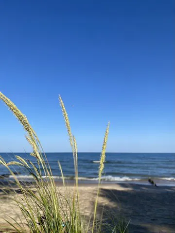 Covert Park Beach & Campground Picture 7