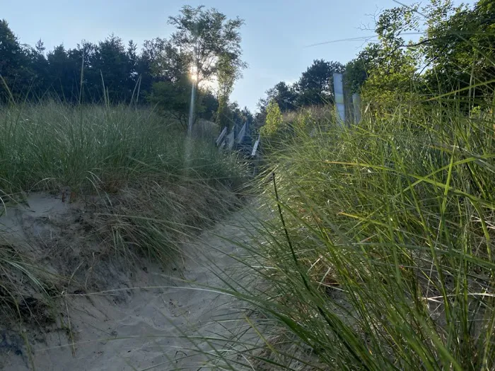 Covert Park Beach & Campground Picture 2