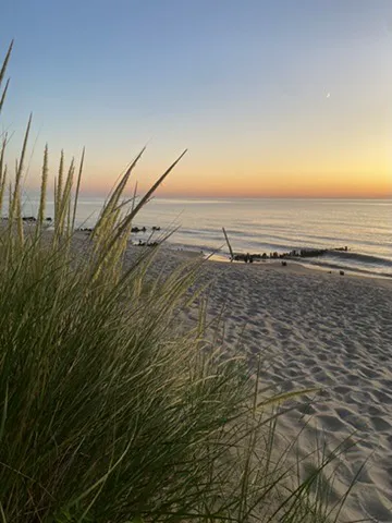 Covert Park Beach & Campground Picture 3