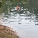 Dune Lake Campground