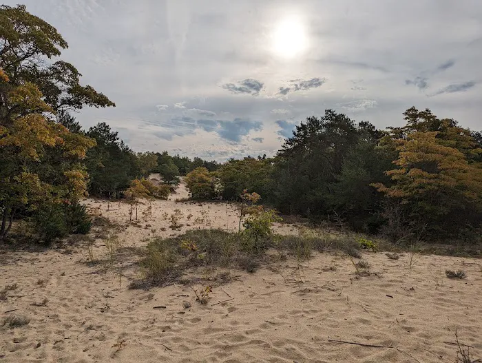 Dune Lake Campground Picture 7