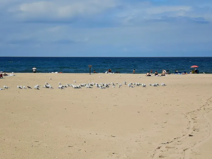 Beach Campground Picture 7