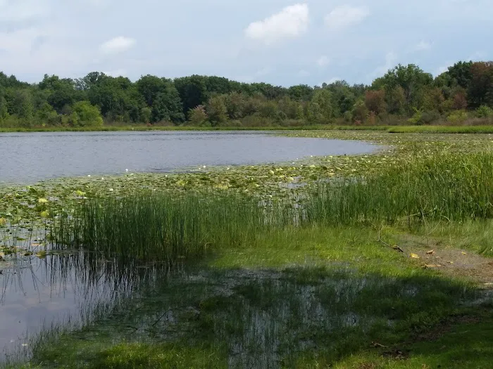 First Lake Park Picture 8