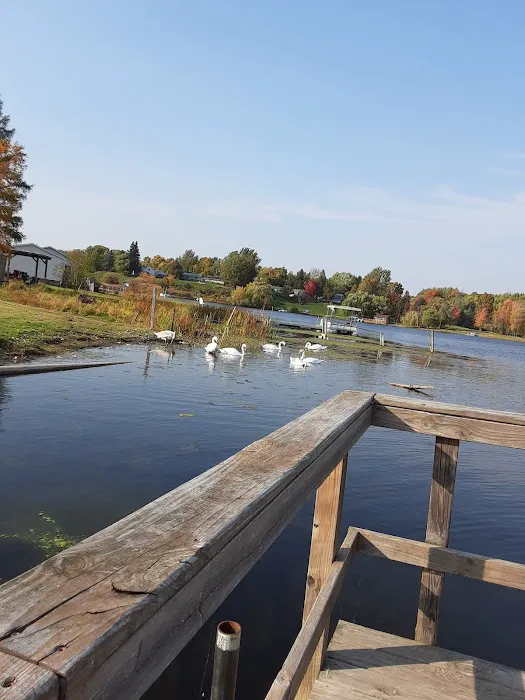 Belvidere Township Park Picture 8