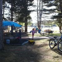 Mecosta Pines Campground ico