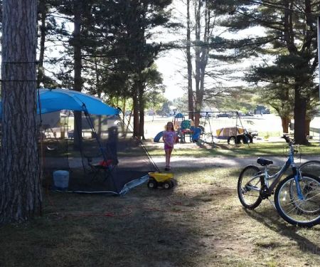 Mecosta Pines Campground