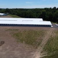 Campo Manzana ico