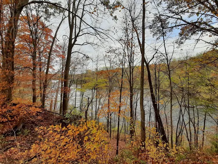 Ed H. Henning County Park Picture 5