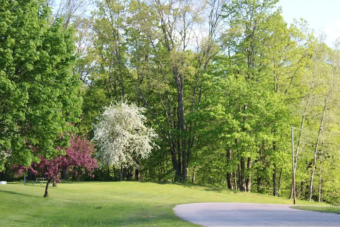 Ed H. Henning County Park Picture 1