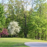 Ed H. Henning County Park ico