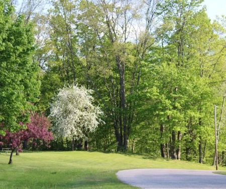 Ed H. Henning County Park