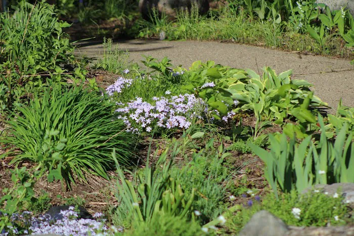 Ed H. Henning County Park Picture 9