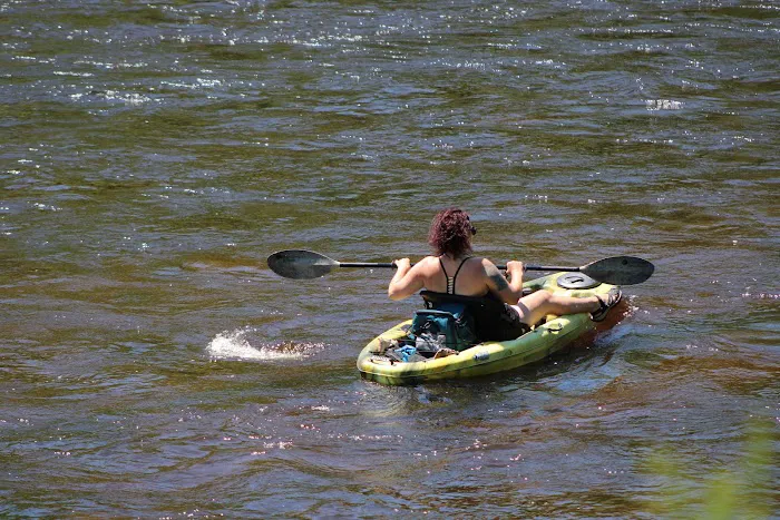 Ed H. Henning County Park Picture 8