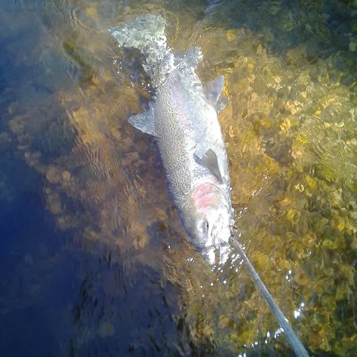 Mystery Creek Campground Picture 2