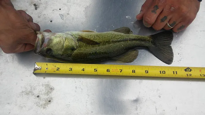 Leisure Time RV Park LLC Picture 1