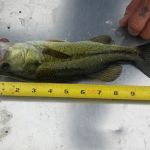 Leisure Time RV Park LLC