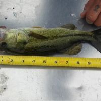 Leisure Time RV Park LLC ico